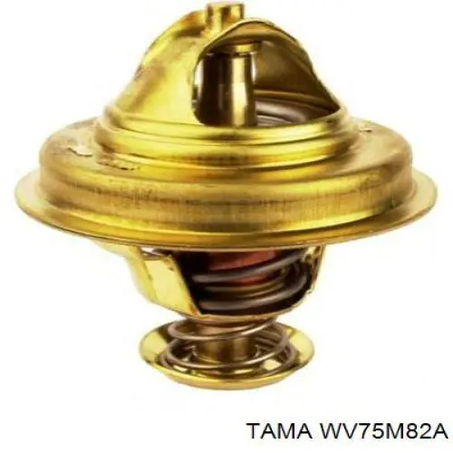 Термостат TAMA WV75M82A
