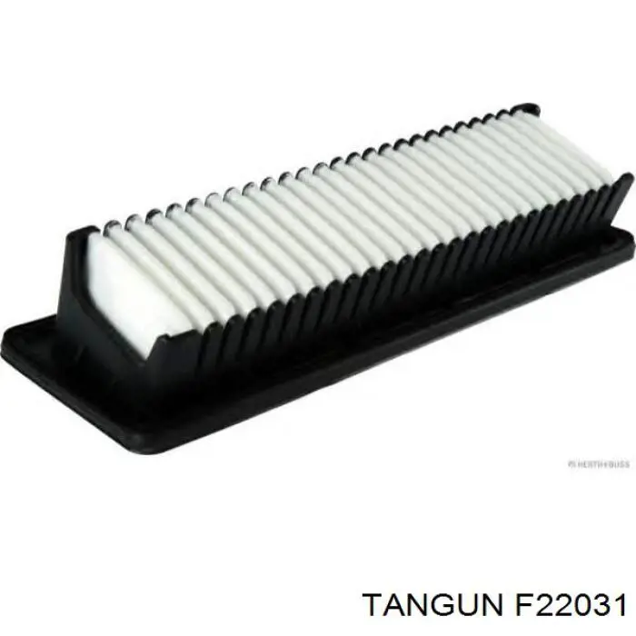 Воздушный фильтр F22031 Tangun