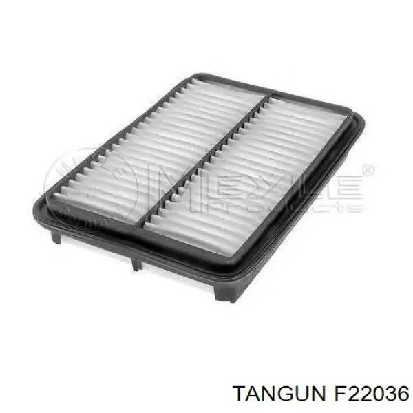 Воздушный фильтр F22036 Tangun