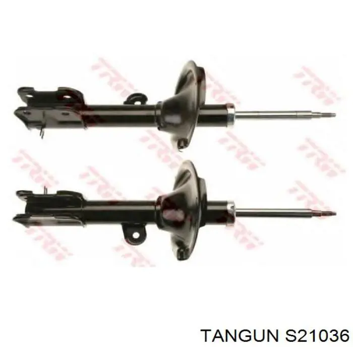 S21036 Tangun