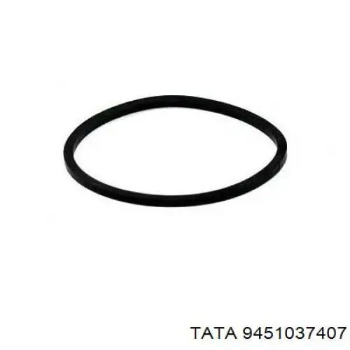 Фильтр тонкой очистки топлива Tata 9451037407 цена, от 1.81 USD
