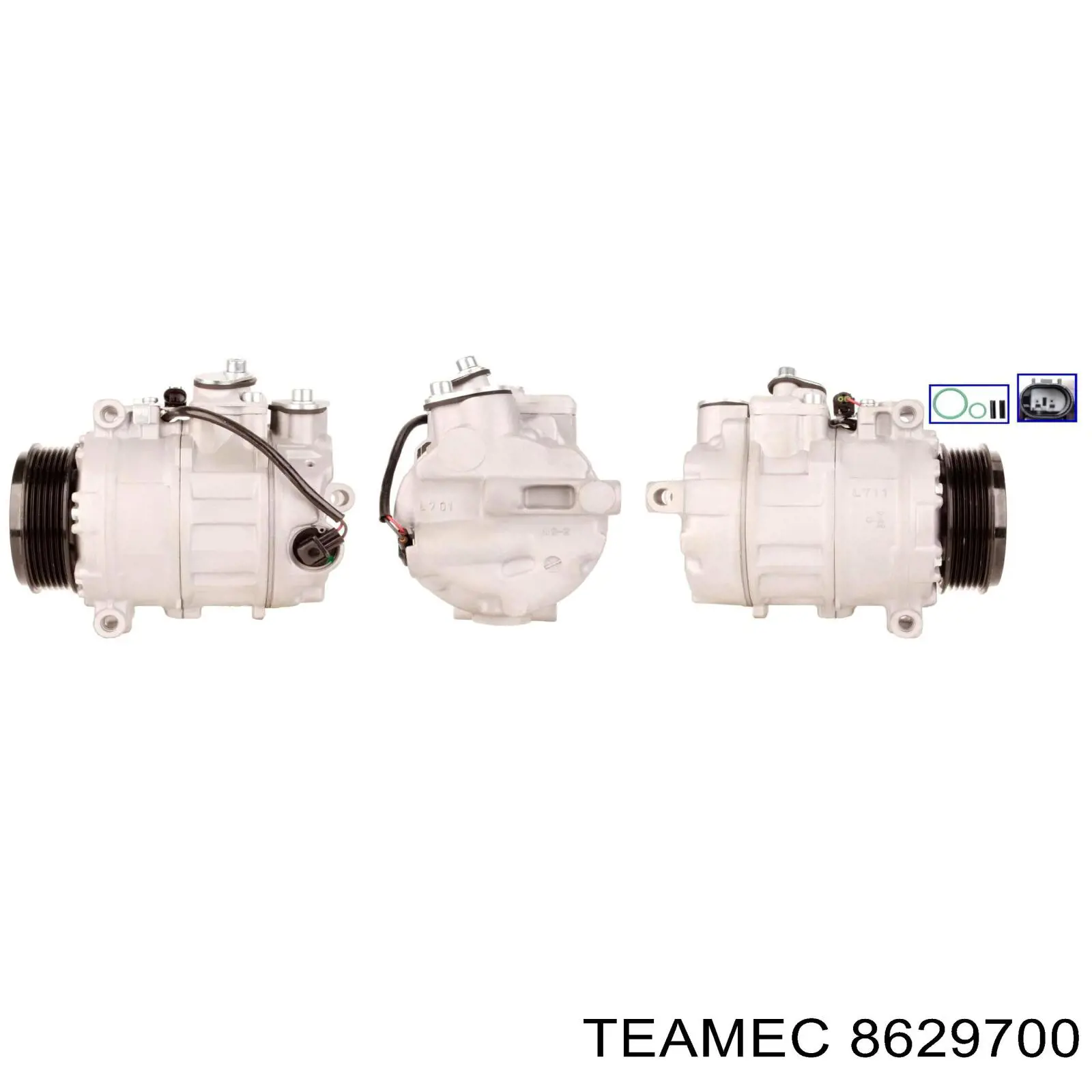 8629700 Teamec