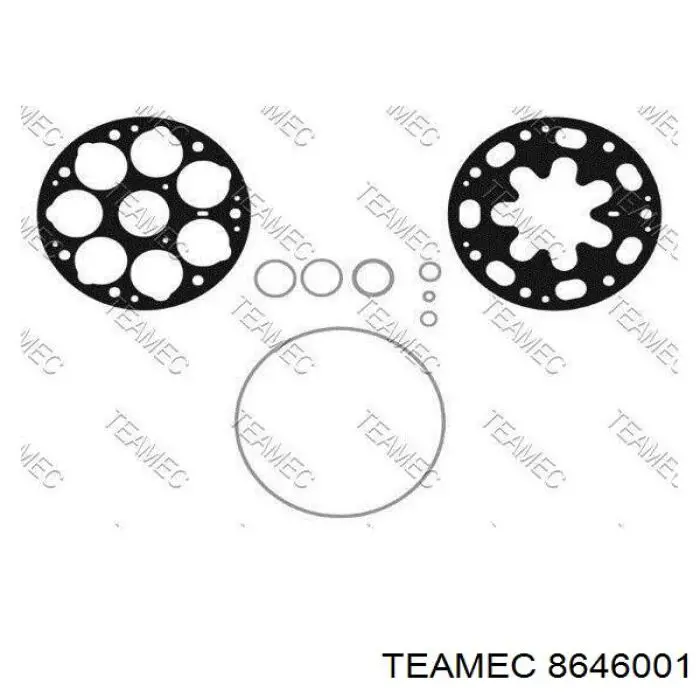 Купить 8646001 Teamec Компрессор климатической установки