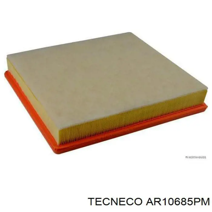 Фільтр повітряний AR10685PM Tecneco