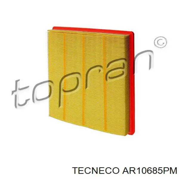 Фільтр повітряний AR10685PM Tecneco