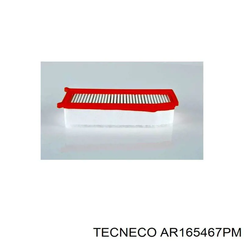 Воздушный фильтр AR165467PM Tecneco