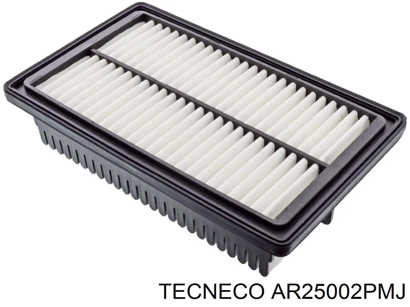 AR25002PMJ Tecneco