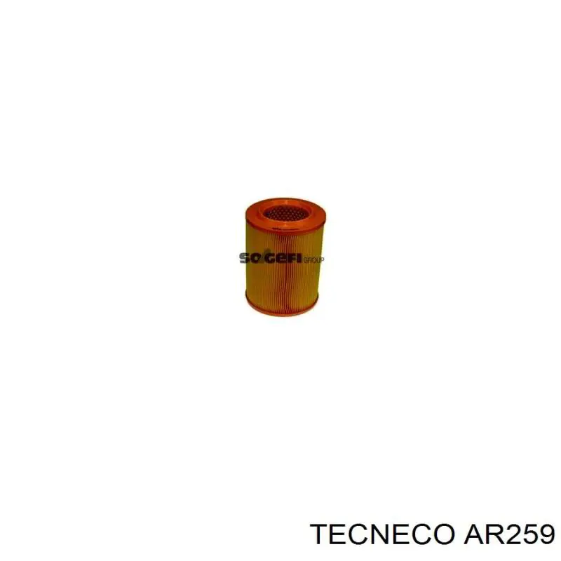 Купить AR259 Tecneco Автомобильный фильтр воздуха