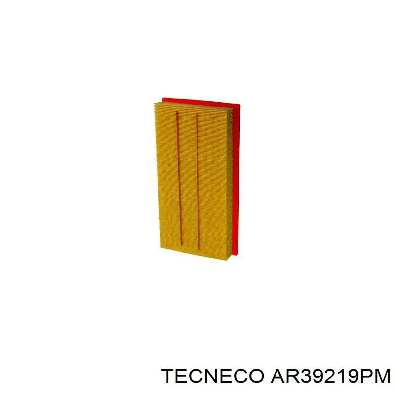 Купить AR39219PM Tecneco Автомобильный фильтр воздуха