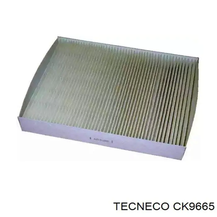 CK9665 Tecneco фильтр салона