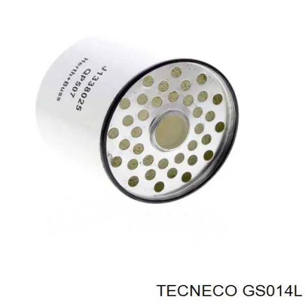 Фильтр топливный Tecneco GS014L