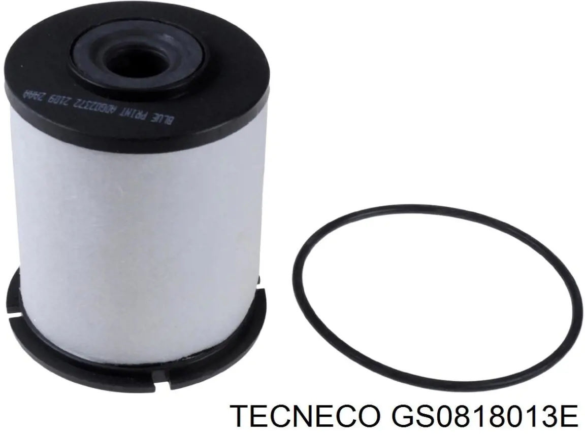 Топливный фильтр GS0818013E Tecneco