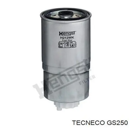 GS250 Tecneco топливный фильтр