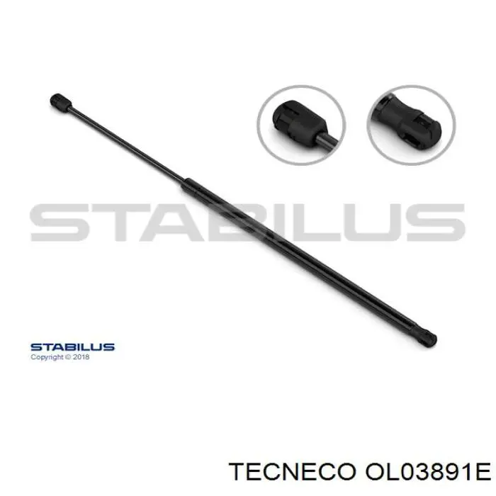 Масляный фильтр OL03891E Tecneco