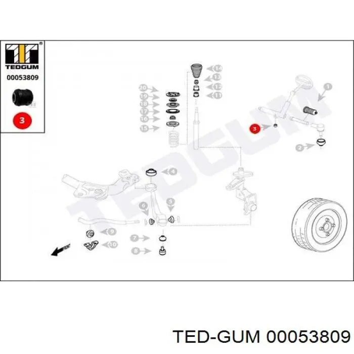 00053809 Ted-gum