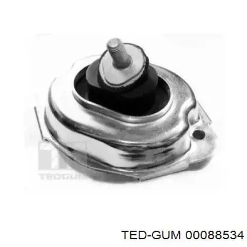  Ted-gum 88534 цена, от 44.59 USD
