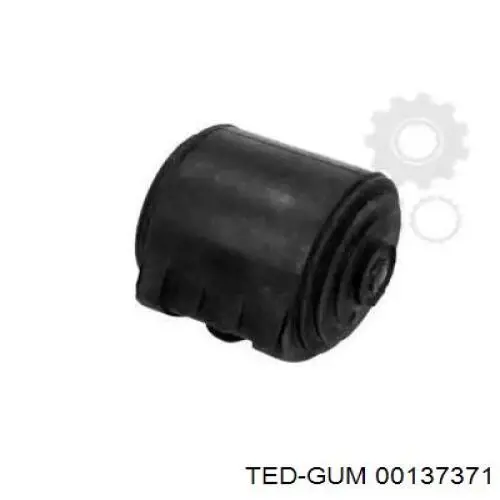 00137371 Ted-gum