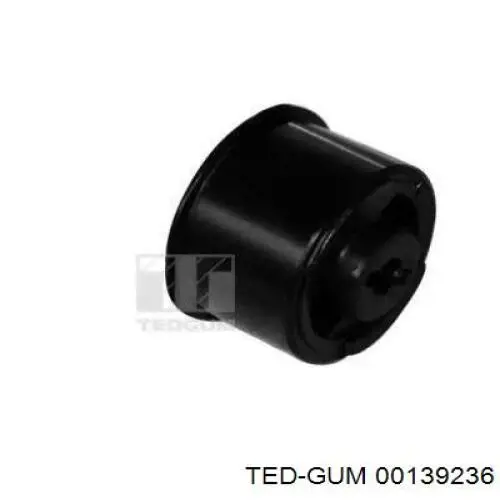  00139236 Ted-gum