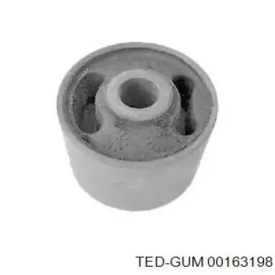 00163198 Ted-gum 