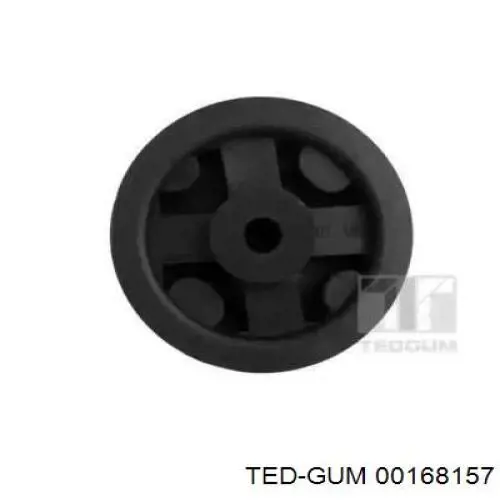  00168157 Ted-gum