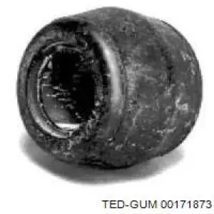 00171873 Ted-gum 