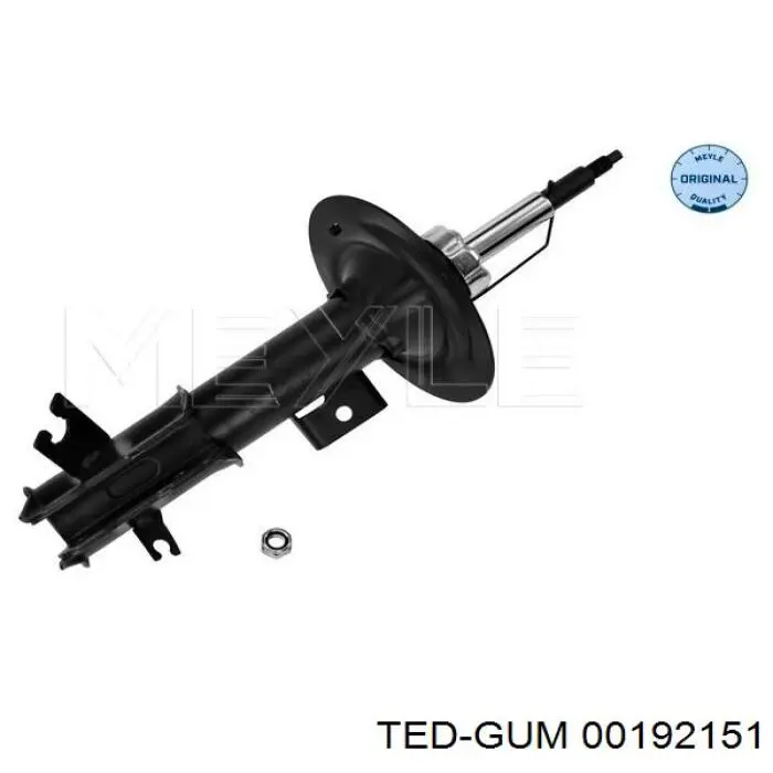 Купить 00192151 Ted-gum 