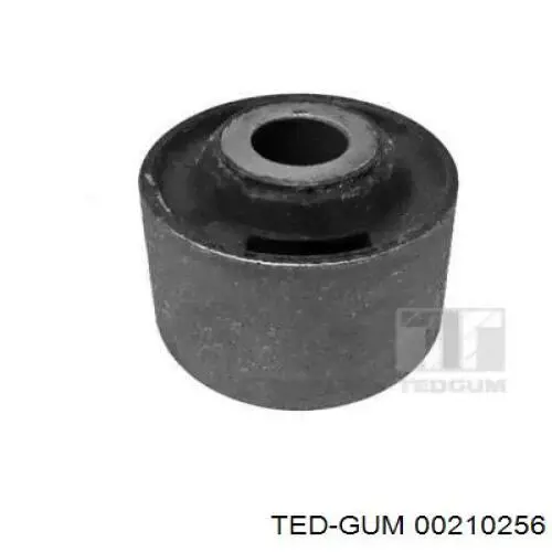 00210256 Ted-gum 