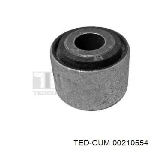  00210554 Ted-gum