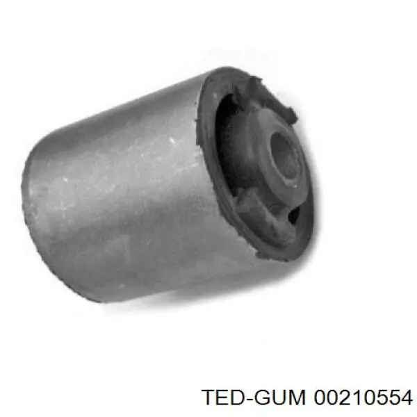  00210554 Ted-gum