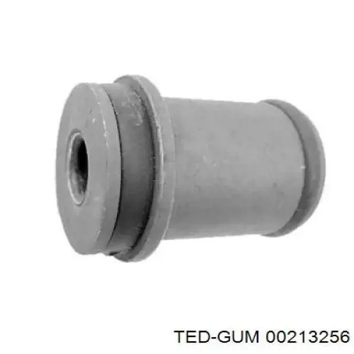  00213256 Ted-gum