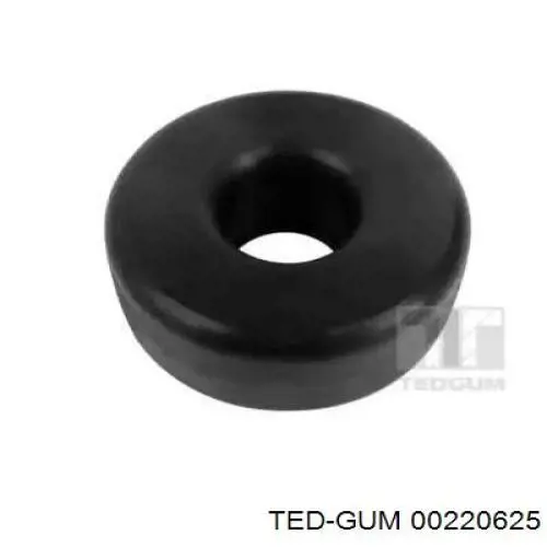  00220625 Ted-gum