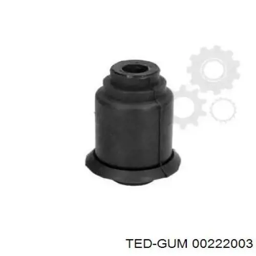  00222003 Ted-gum