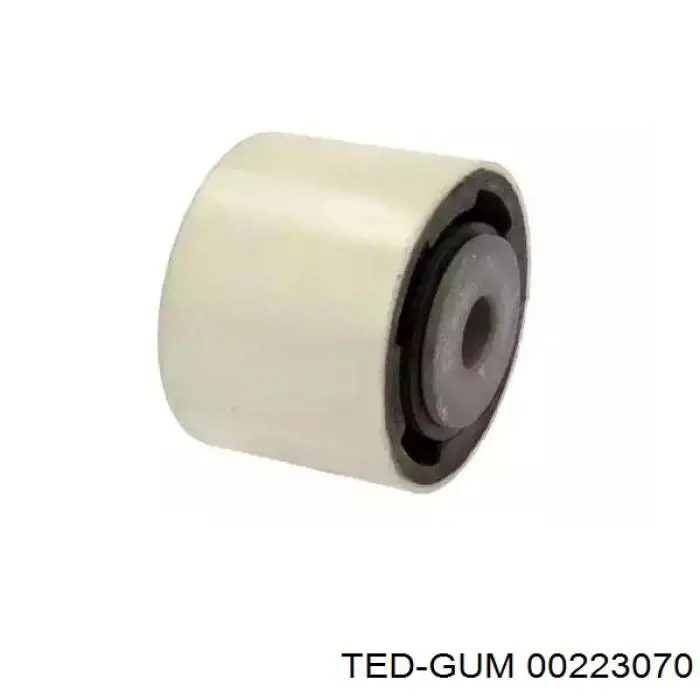  00223070 Ted-gum