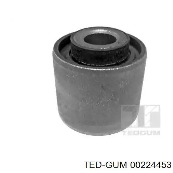 00224453 Ted-gum 