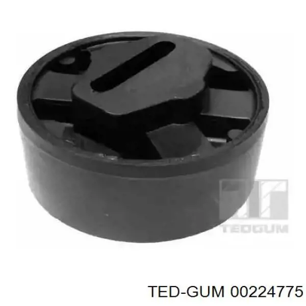 00224775 Ted-gum 