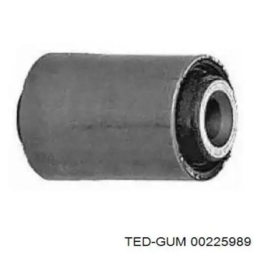 00225989 Ted-gum