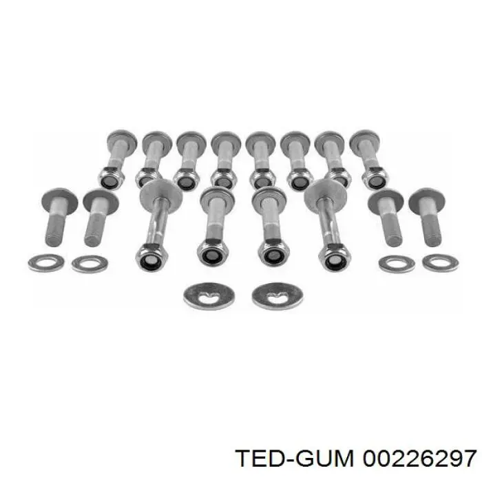 Сайлентблок заднего рычага, комплект Ted-gum 00226297