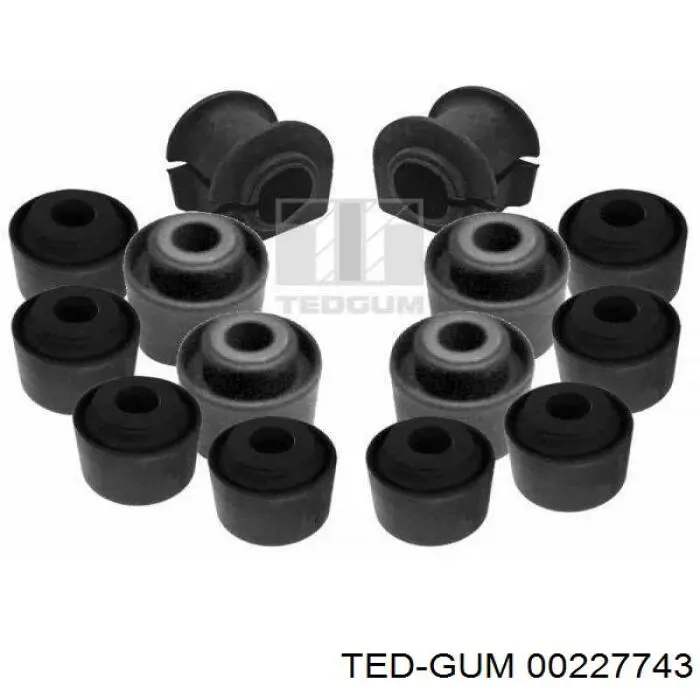  00227743 Ted-gum