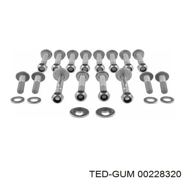 00228320 Ted-gum