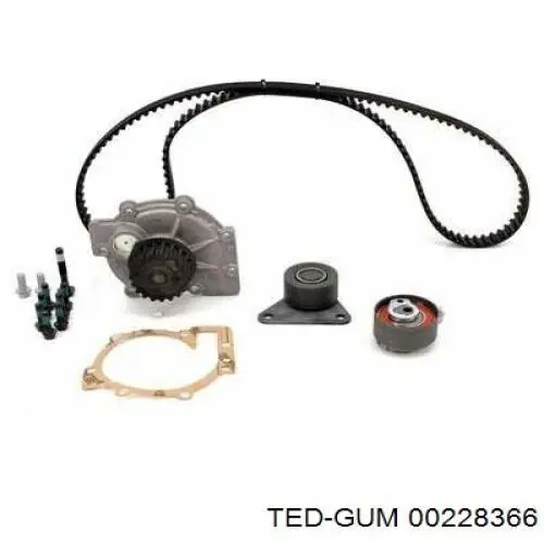  00228366 Ted-gum