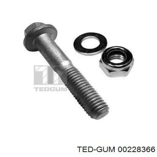 00228366 Ted-gum