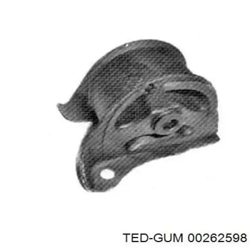  00262598 Ted-gum