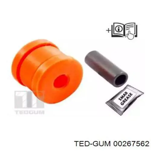  00267562 Ted-gum