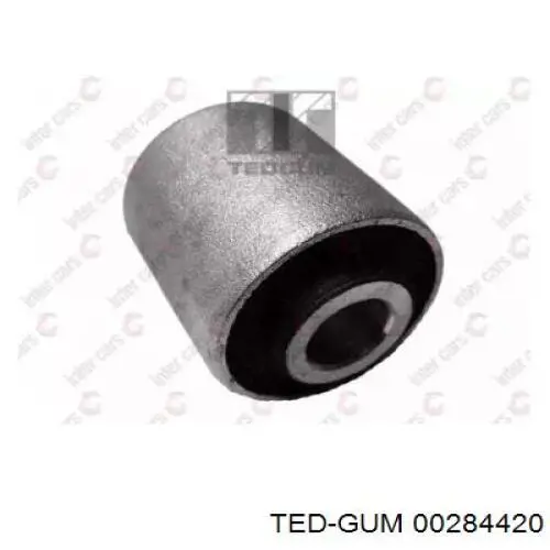 00284420 Ted-gum 