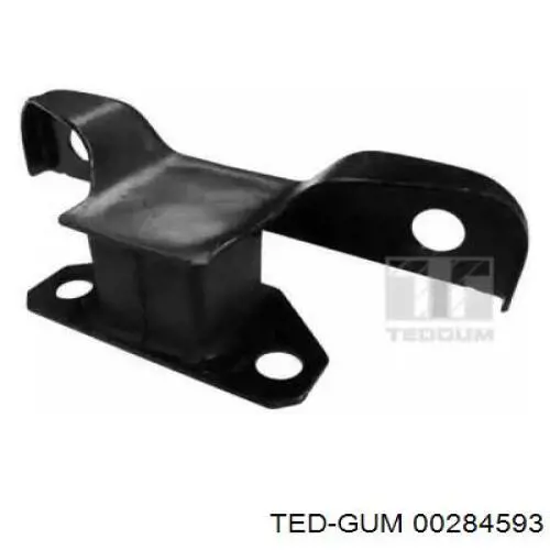  00284593 Ted-gum