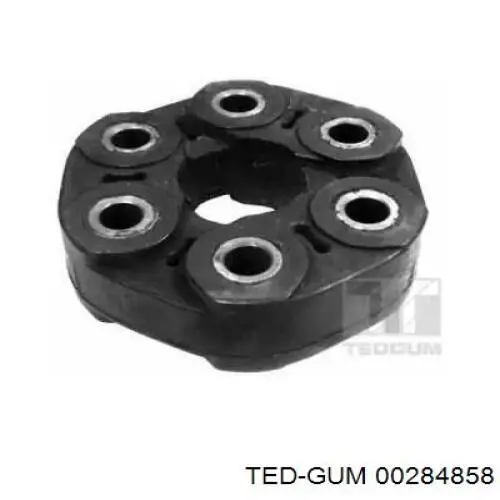  00284858 Ted-gum