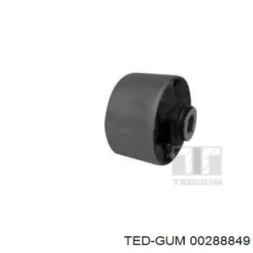 00288849 Ted-gum
