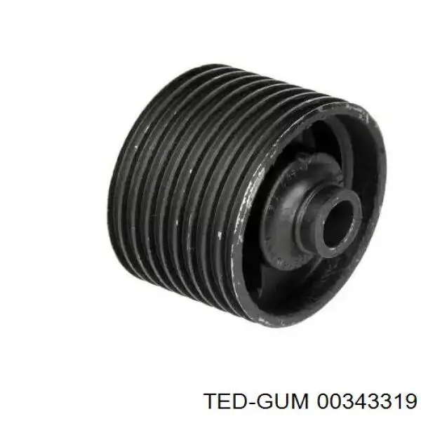  00343319 Ted-gum