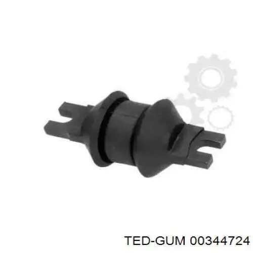 00344724 Ted-gum 