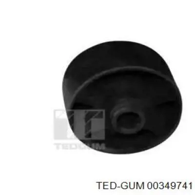  00349741 Ted-gum